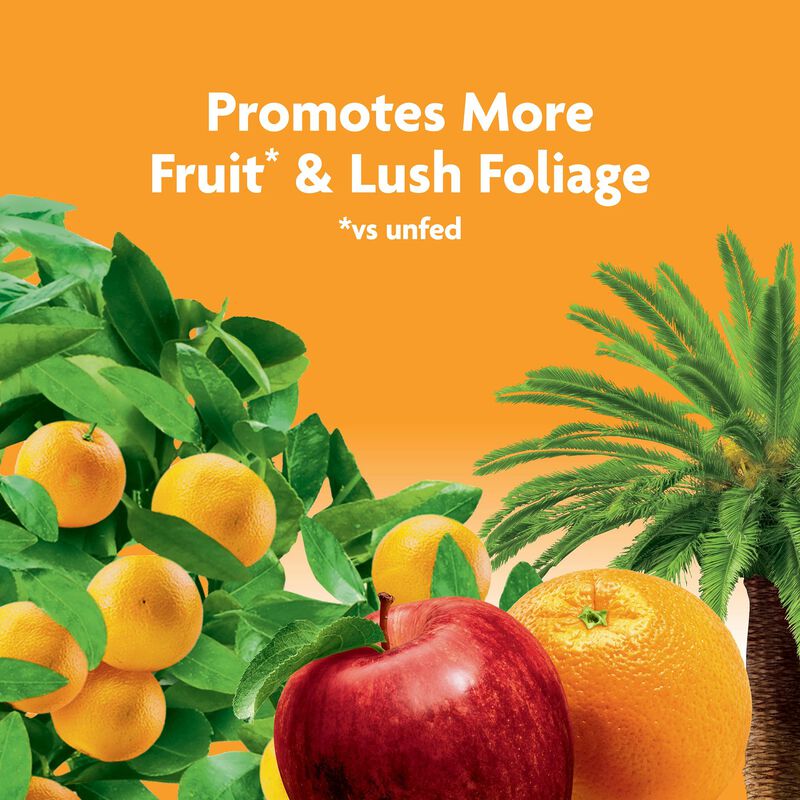 Miracle-Gro® Fruit & Citrus Plant Food Spikes image number null